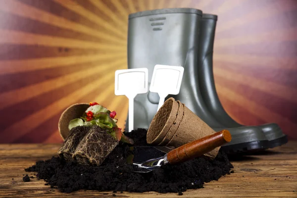 Garden boots with tool, plant