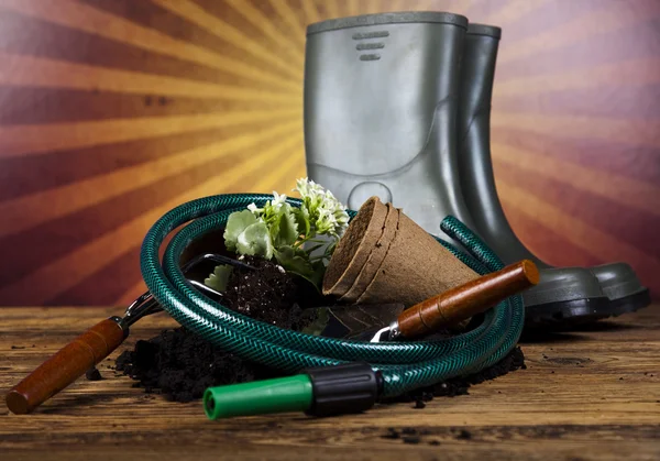 Garden boots with tool, plant