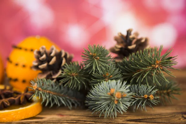 Christmas tree with cones, oranges with cinnamon and aniseed