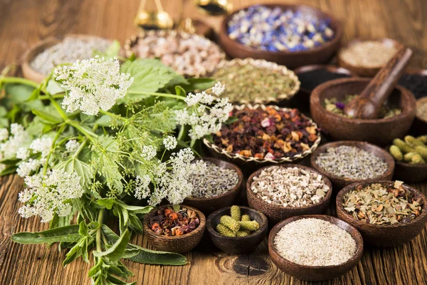 Natural medicine ,natural seasonings