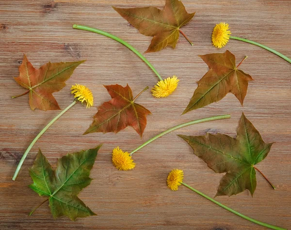 Background from Green Leaves,Yellow Dandelions on the Wooden Table.Autumn Meadow Texture.Top View
