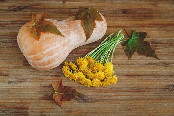 Background from Pumkin,Green Leaves,Bunch of Dandelions on the Wooden Table.Autumn Garden\'s Vegetables.Top View