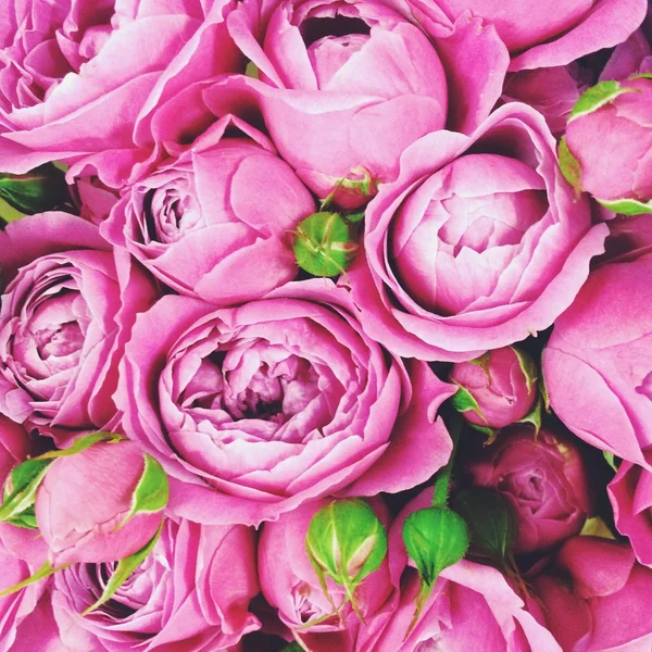 Beautiful pink flowers background