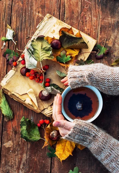 Girl in warm sweater with cup of tea, old book and autumn leaves,  autumncity