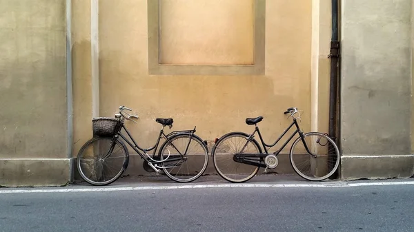 Cityinmove city move bike tourist Lucca urban Tuscany Italy  wall