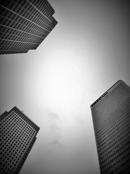 Skyscrapers against the sky, black and white, view from the bottom