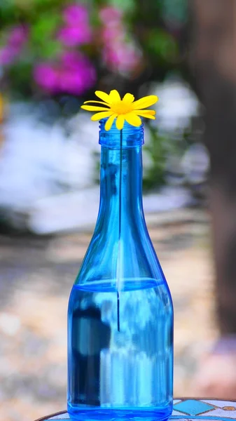 Flower in blue bottle