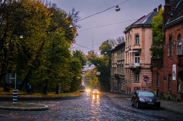 Houses and cars on street in autumn