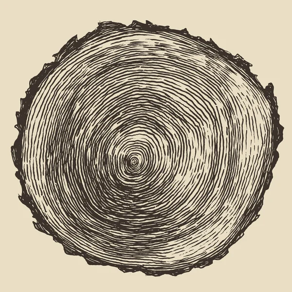 Tree rings engraved background