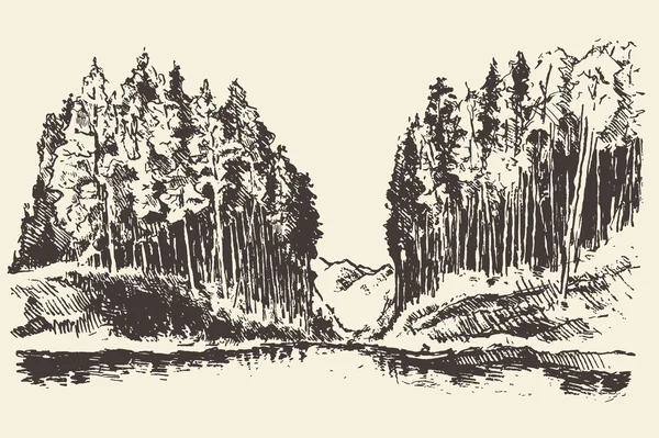 Hand drawn landscape lake and fir forest vector