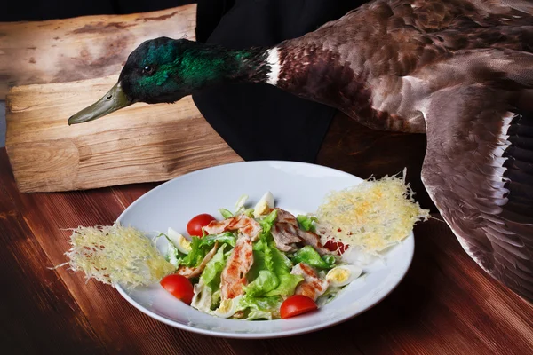 Caesar salad grilled chicken and parmesan crisps plate still life duck, stuffed, taxidermy, hunting, atmosphere