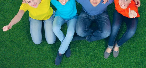 Group of young people sitting on green grass