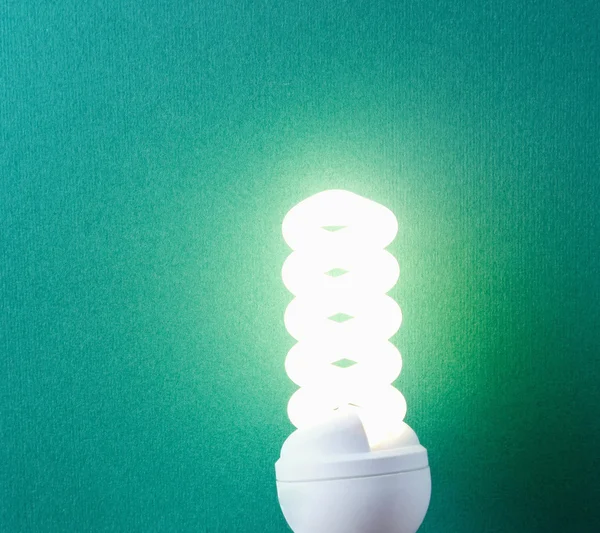 Electrical fluorescent energy-saving lamp isolated on green background.