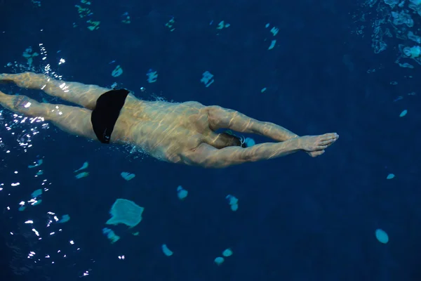 Male swimmer at the swimming pool. Underwater photo.