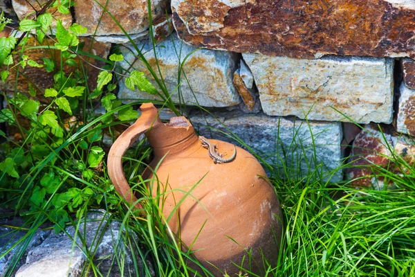 Brown lizard on the old broken jug
