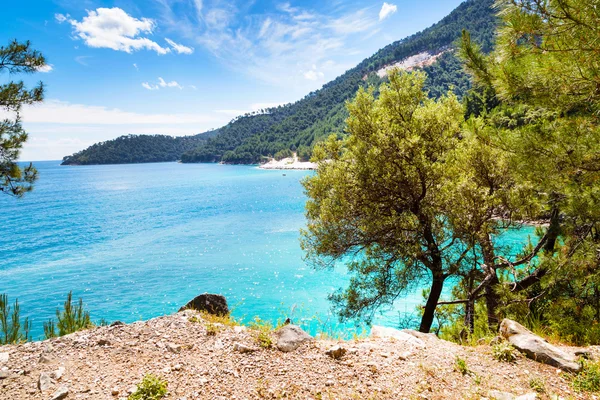 Summer vacation background with turquoise sea water bay, nountains, pine trees