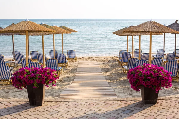 Colorful flowers near wooden path to sea among umbrellas at sandy beach