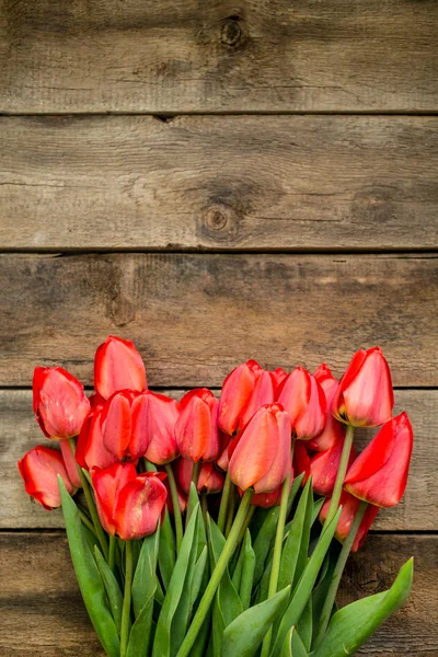 Tulips for mother