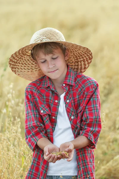 Portrait of teenage farmer boy is checking oat seeds in cupped palms at harvest time field
