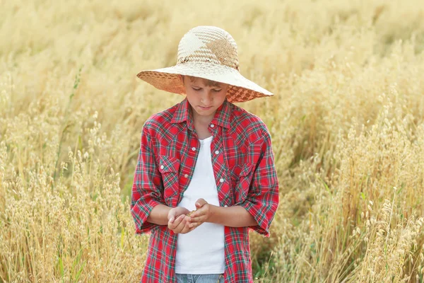 Portrait of teenage farmer boy is checking oat seeds in cupped palms at ripe field