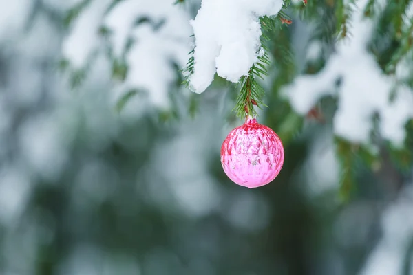 Outdoor Christmas magenta round mirror ball ornament design hanging on snowy spruce twig