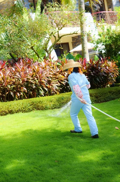 An employee of the hotel lawn watering