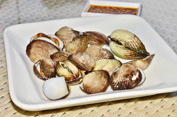 Acanthocardia- edible clam on a white plate