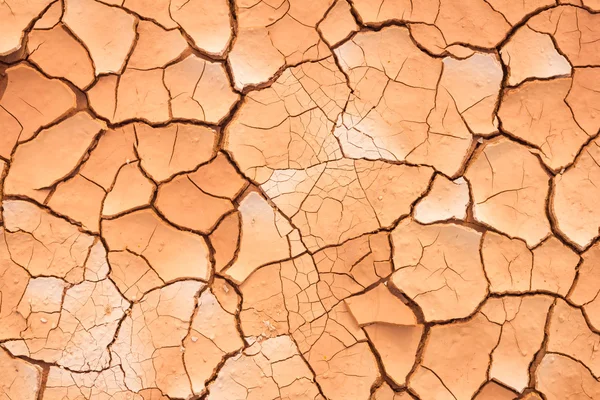 Cracked earth in dry mud with beautiful texture. Top view
