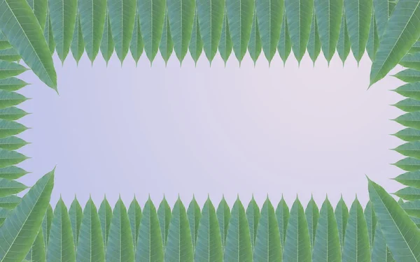 Green leaves frame on the background of beautiful gradient