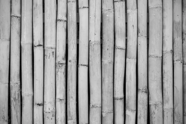 Close-up of bamboo fence, black and white
