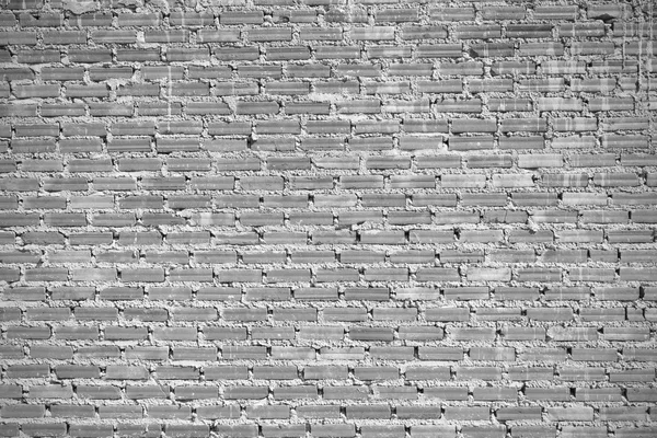 Background of old vintage brick wall, black and white