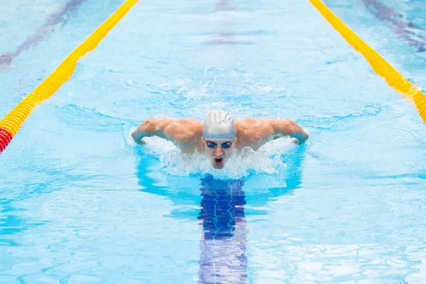 Dynamic and fit swimmer in cap breathing performing the butterfly stroke