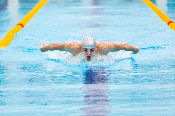 Dynamic and fit swimmer in cap breathing performing the butterfly stroke