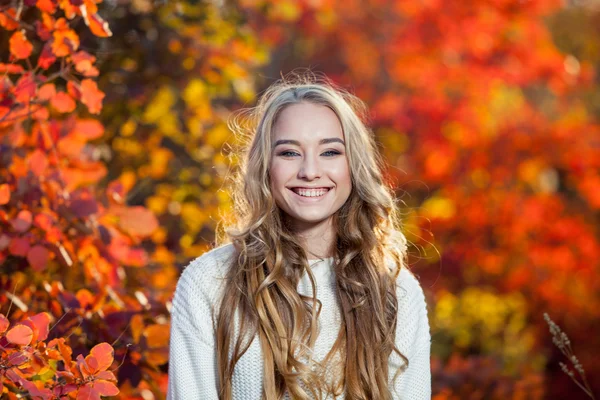 Beautiful young woman with curly hair against a background of red and yellow autumn leaves, happiness, laughter , smile