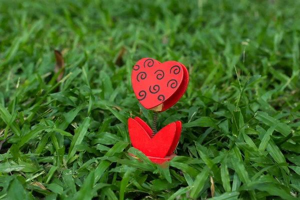 Heart-shaped photo holder on the green grass.