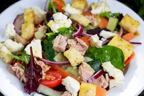 Tuna salad with Spinach, rocket, red ruby chard, tomatoes, cucumbers, white cheese, carrot, red onion, croutons. background.