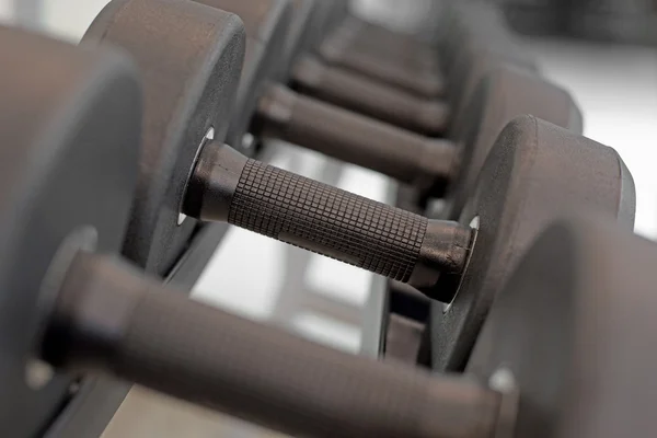 Sports dumbbells in the gym