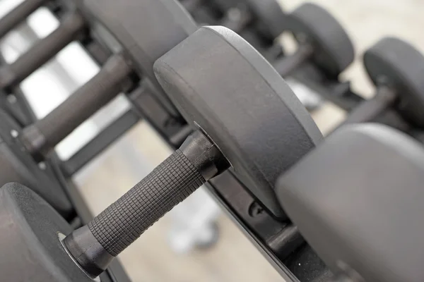 Sports dumbbells in the gym
