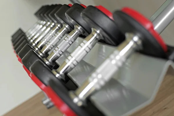 Sports dumbbells in the gym