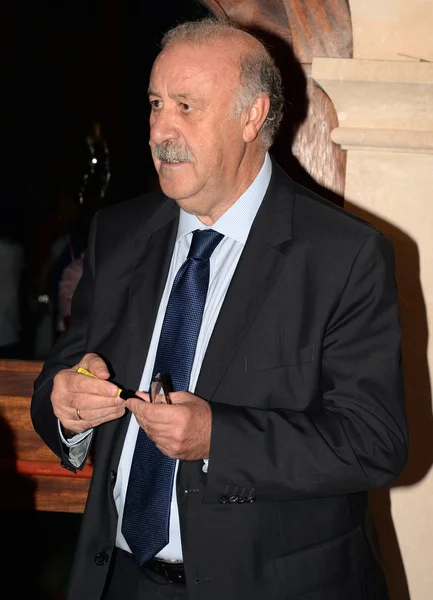 Vicente del Bosque, spanish footbal selection coach