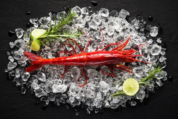 Fresh big red shrimp on ice on a black stone table top view