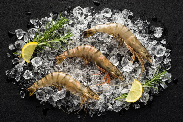 Fresh tiger shrimp on ice on a black stone table top view