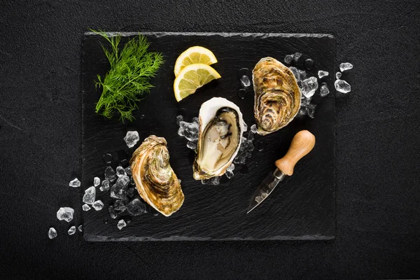 Fresh oysters on a black stone plate top view