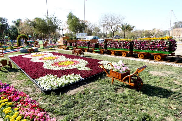 Flowers Gallery in Baghdad