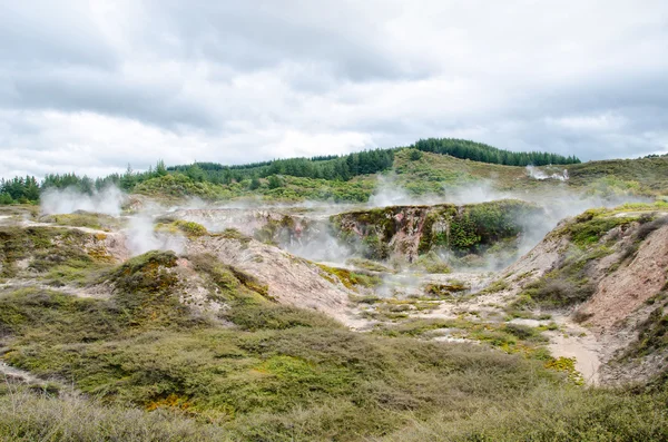 The Craters of the Moon is a geothermal walk located just north of Taupo.