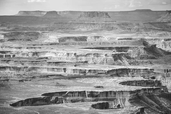 Black and white landscape in Canyonlands National Park.