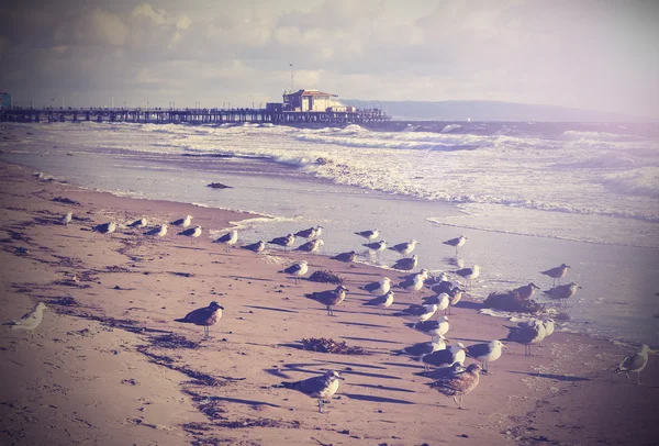Vintage picture of Santa Monica beach, California, USA.