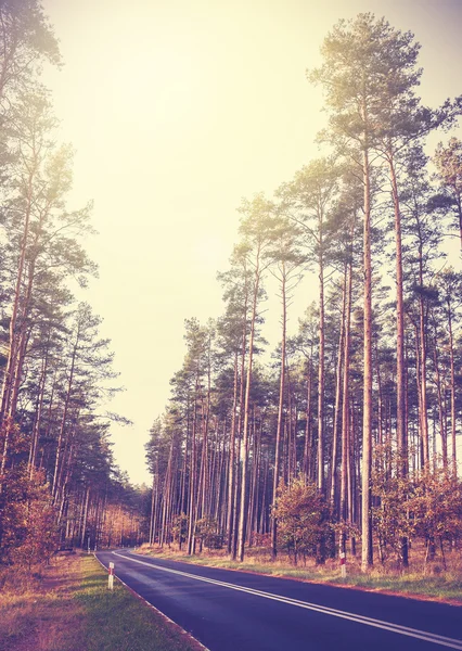 Vintage retro styled picture of a road in forest.