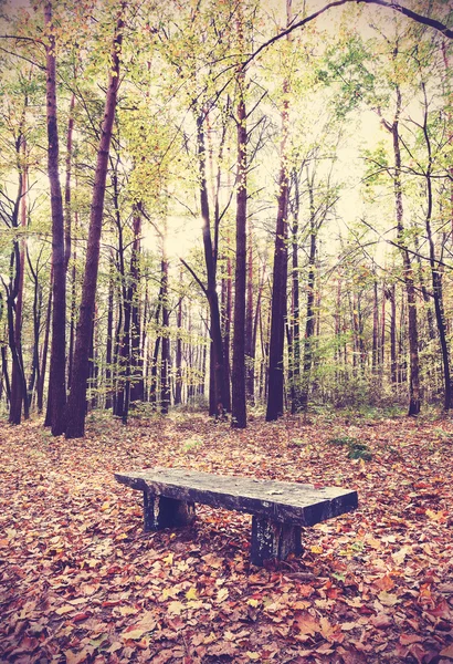 Vintage filtered picture of bench in a forest.