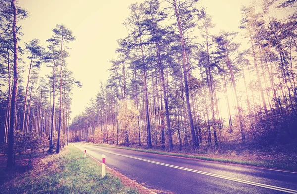 Vintage retro styled picture of a road in forest.